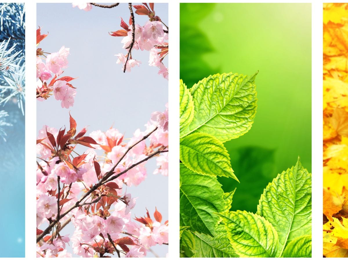 Four Elements in Astrology