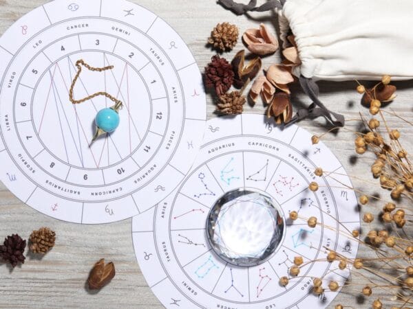 Beginners Astrology Course