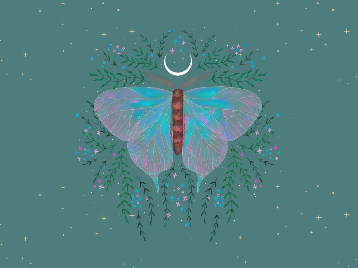 Pluto transit in Astrology
