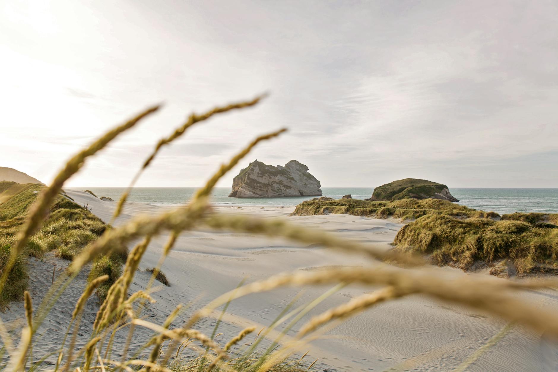 seashore