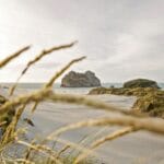 seashore