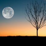 full moon on a daybreak