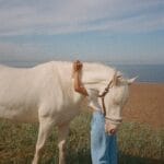 white horse on green grass field